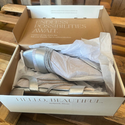 Joy in Silver