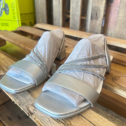 Joy in Silver