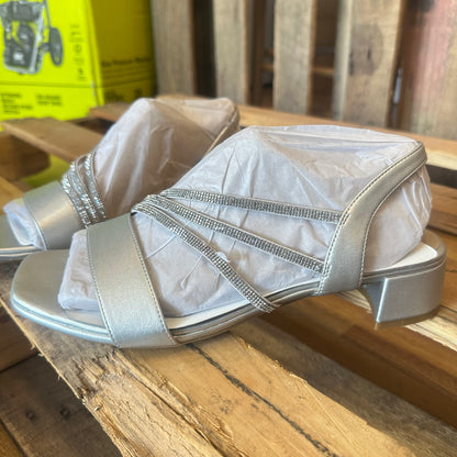 Joy in Silver